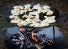 Підставка для смаження та багаття Petromax Griddle and Fire Bowl 48 см