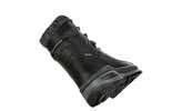 Черевики Lowa Renegade Evo Ice GTX Black Black